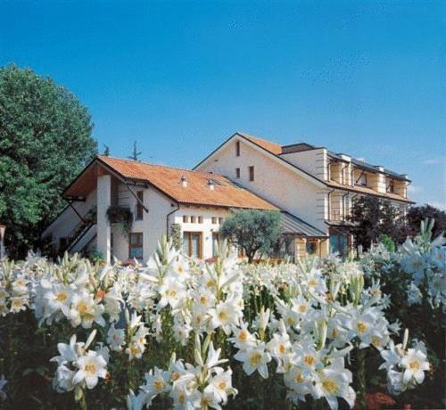 Ca' Delle Rose Hotel กัสเตลฟรันโก เวเนโต ภายนอก รูปภาพ
